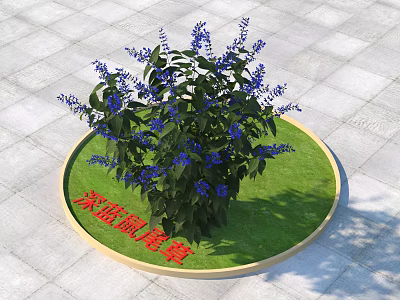 Deep Blue Sage Shrub With Purple Flowers On Circular Green Lawn And Gray Paved Ground 3d model