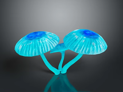 Bioluminescent Blue Mushrooms with Ruffled Edges Deep Blue Centers and Shiny Reflections on Dark Background 3d model