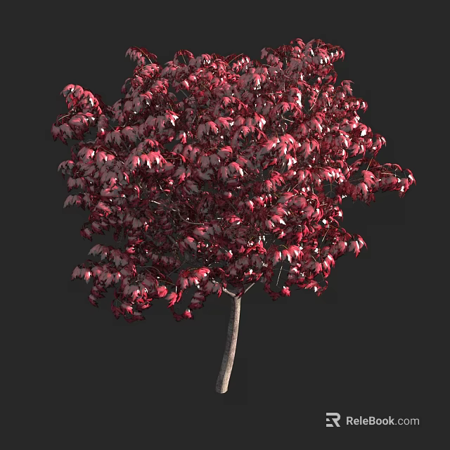Vibrant Red Leaf Arbor Featuring Lush Foliage And Natural Growth 3d model 