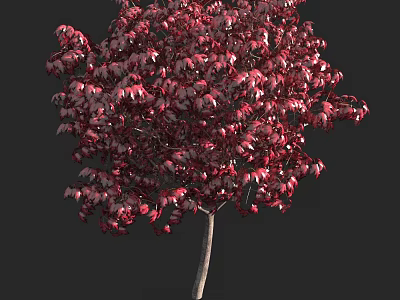 Vibrant Red Leaf Arbor Featuring Lush Foliage And Natural Growth 3d model