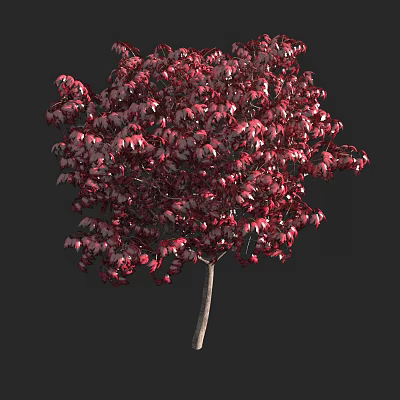Vibrant Red Leaf Arbor Featuring Lush Foliage And Natural Growth 3d model