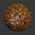 Fresh Ripe Pineapple With Vibrant Orange Textured Skin On Dark Background