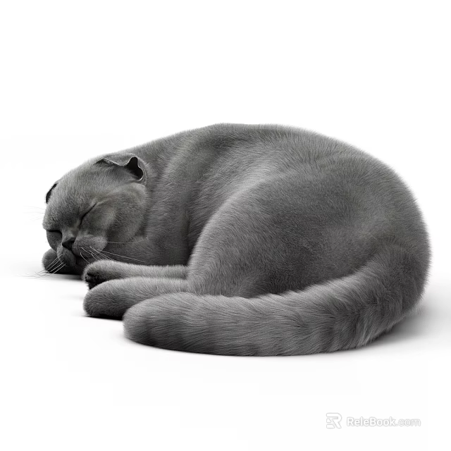 Small Gray Reptile Curled Up Tightly Sleeping Peacefully On White Surface 3d model