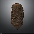 Detailed Organ Structure With Hair Like Protrusions And Natural Textured Surface
