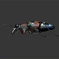 Colorful Flying Insect With Metallic Sheen Vibrant Colors Long Antennae On Dark Reflective Background