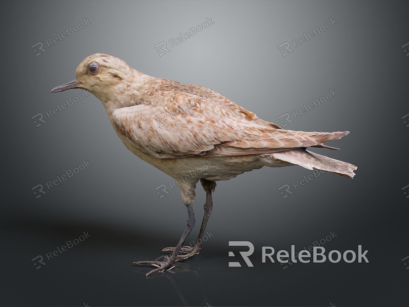 bird bird bird bird game animal cartoon animal animal realistic animal model