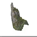 Natural Wooden Stone With Green Moss And Rough Organic Surface Texture