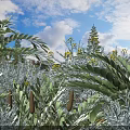 Lush Shrubs With Green Leaves And Yellow Flowers Under Sunlit Blue Sky With White Clouds