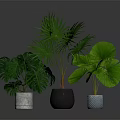 Indoor Green Plants With Various Decorative Pots And Lush Foliage