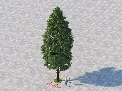 Green Leafy Arbor Growing On Paved Tile Ground With Natural Canopy 3d model