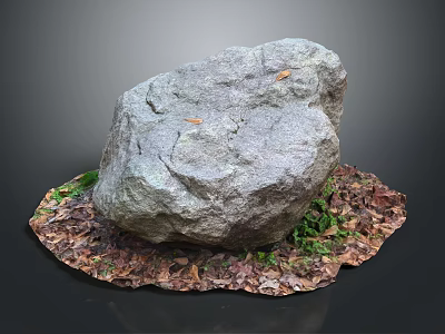 Large Natural Stone with Moss and Wooden Fallen Leaves on Ground 3d model