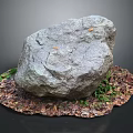 Large Natural Stone with Moss and Wooden Fallen Leaves on Ground