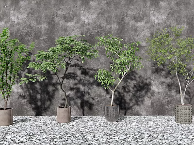 Modern Potted Plant Indoor Plant Potted Plant 3d model