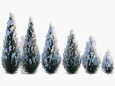 Snow Covered Evergreen Trees of Various Heights in Scenic Winter Landscape 3d model