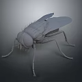 Effective Living Supplies For Fly Control In Home With Practical Features 3d model