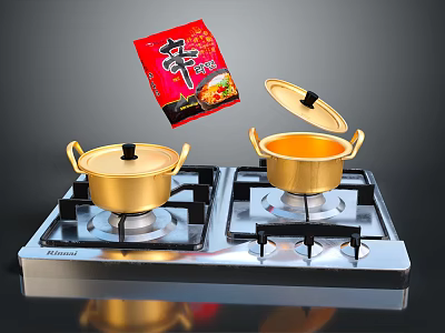 Stainless Steel Double Burner Gas Stove with Golden Pots and Open Lid 3d model