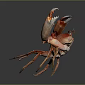 Red Aquatic Crab With Large Open Claws And Shiny Body On Dark Background