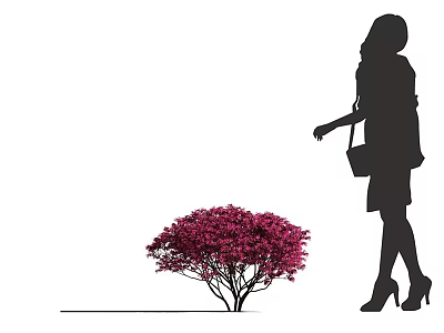 Modern flower tree red flower tree red flower wood red Jimu red tree landscape tree street garden forest flowering trees 3d model