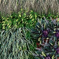 Decorative Living Plant Wall With Diverse Green Plants And Colorful Flowers