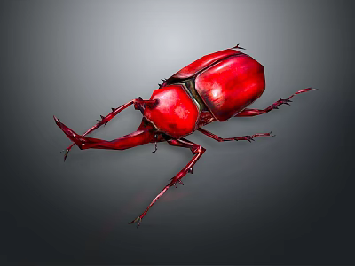 Vibrant Red Rhinoceros Beetle With Large Curved Horn And Spiny Legs On Gray Surface 3d model
