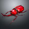 Vibrant Red Rhinoceros Beetle With Large Curved Horn And Spiny Legs On Gray Surface