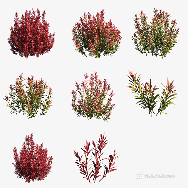 Diverse Red and Green Aquatic Plants with Varied Leaf Shapes for Freshwater Tanks 3d model 