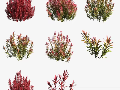 Diverse Red and Green Aquatic Plants with Varied Leaf Shapes for Freshwater Tanks 3d model