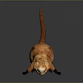 Dutch Pig Cartoon Characters Cartoon Animals Cartoon Small Animals Game Characters Virtual Characters Anime Characters 3d model