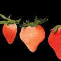 Fresh Ripe Juicy Strawberries Two Whole Red And One Sliced Half On Black Background