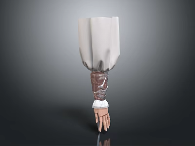 White Sleeve Hand Model Equipment With Brown Decorative Cuff And Realistic Fingers 3d model