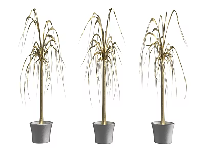 Three Potted Bonsai Plants With Golden Slender Leaves In Gray Pots 3d model