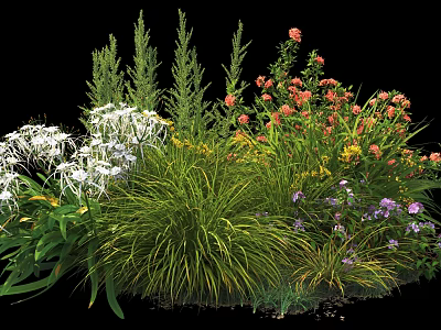 Vibrant Garden Shrubs With Red White Purple Flowers And Green Foliage 3d model