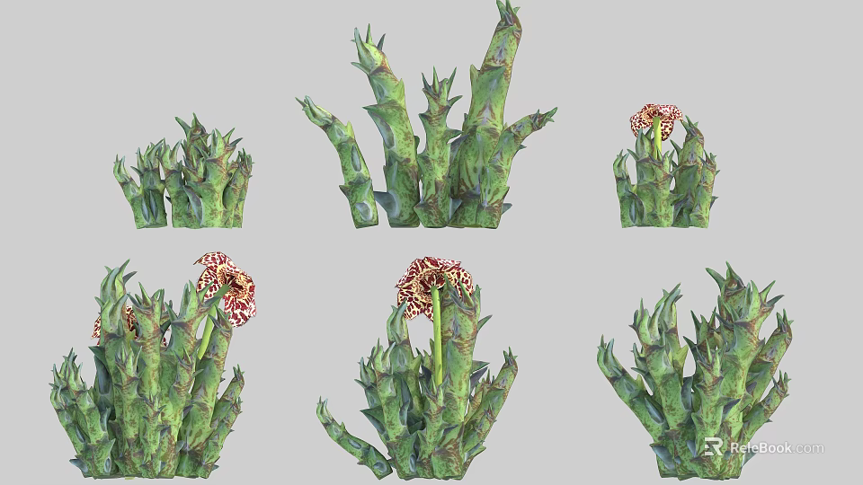 Green Succulent Plants with Thick Stems and Ornate Red Flowers in Various Shapes 3d model 