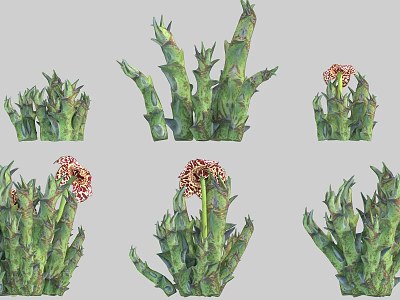 Green Succulent Plants with Thick Stems and Ornate Red Flowers in Various Shapes 3d model