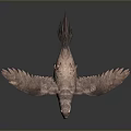 Parrot with Spread Wings on Grey Gradient Background and Reflective Ground