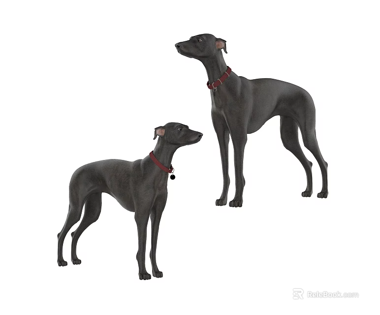 Two Black Dogs With Red Collars Standing Together On White Surface 3d model