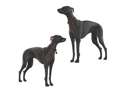 Two Black Dogs With Red Collars Standing Together On White Surface 3d model