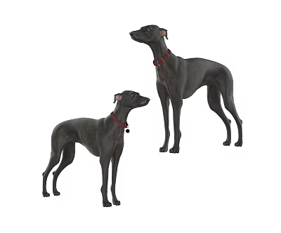 Two Black Dogs With Red Collars Standing Together On White Surface 3d model