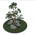 Tall Arbor with Green Grass and Stones Under Blue Sky and White Clouds