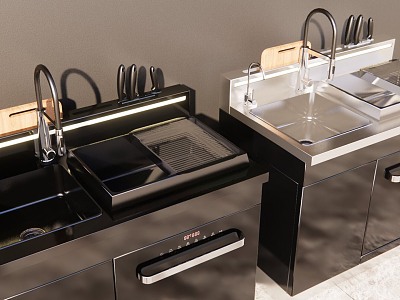 Dishwasher Integrated sink Integrated sink Dishwasher 3d model