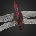Purple Dragonfly With Red Eyes And Transparent Wings On Black Background 3d model