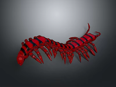 Detailed Red And Black Striped 3D Centipede Model On Grey Gradient Background 3d model