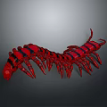 Detailed Red And Black Striped 3D Centipede Model On Grey Gradient Background