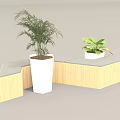 Modern Public Chairs In Various Shapes With White And Wooden Elements And Plants