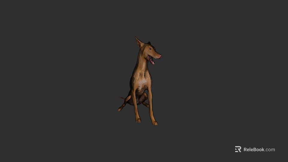 Brown Doberman Dog Sitting With Open Mouth On Black Background 3d model 