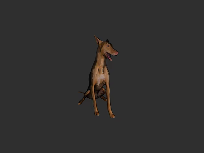 Brown Doberman Dog Sitting With Open Mouth On Black Background 3d model
