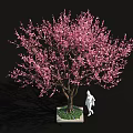 Pink Flowering Tree with White Base and Green Plants Near Human Figure Sculpture