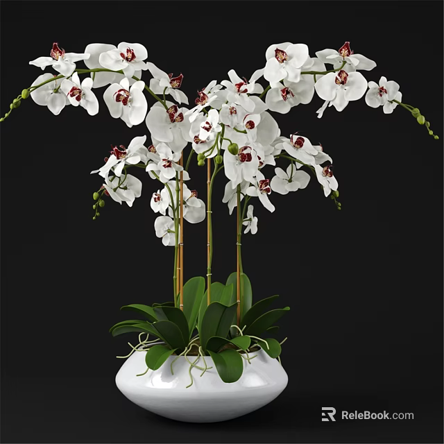 Decorative Ornament Set With White Orchids Green Leaves In White Vase For Home Decor 3d model 