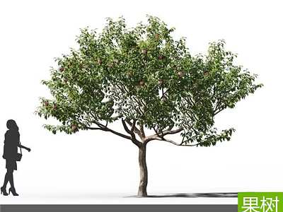 Fruit Tree With Lush Green Foliage And Red Fruits Near Silhouette Of A Person 3d model