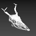 White Deer Skull With Intricate Antler Structure And Detailed Bone Features